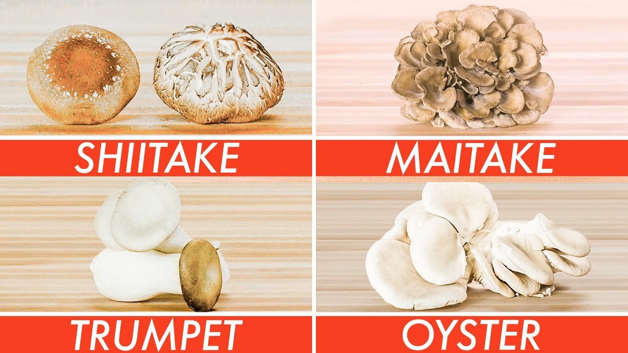 Trying Every Type Of Mushroom | The Big Guide | Epicurious