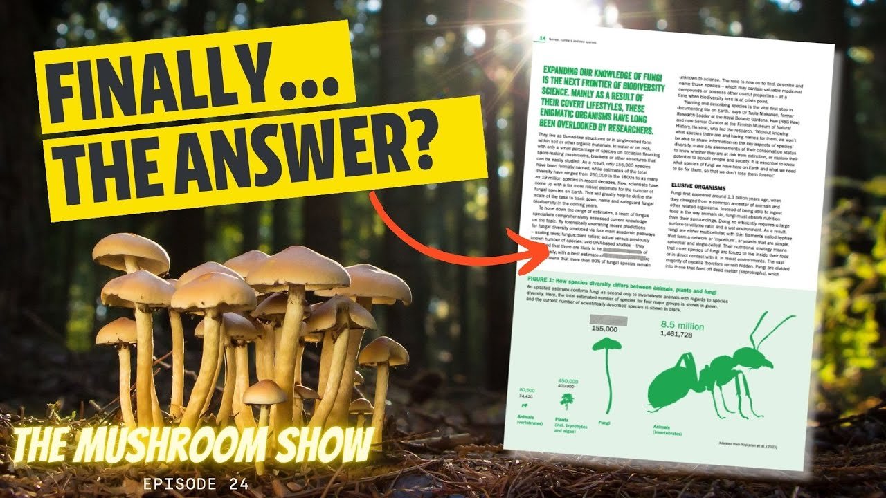 How Many Species Of Mushrooms ACTUALLY Exist?? (The Mushroom Show Episode 24)