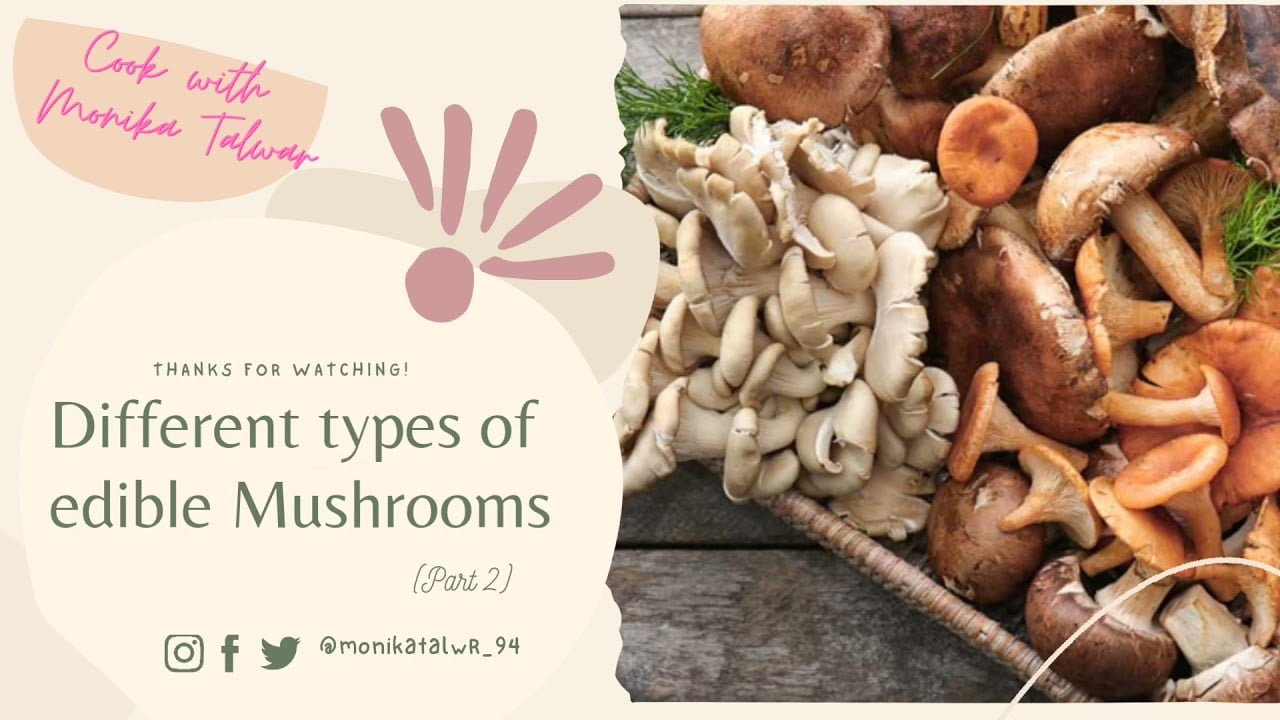 Basics: Information about different types of Edible Mushroom| Part 2 | by Monika Talwar