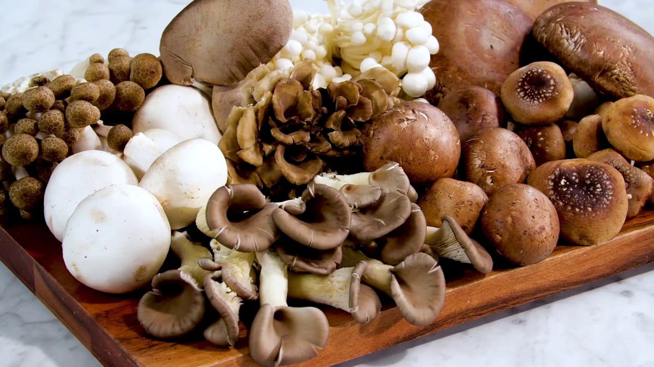 Mushroom Varieties 101