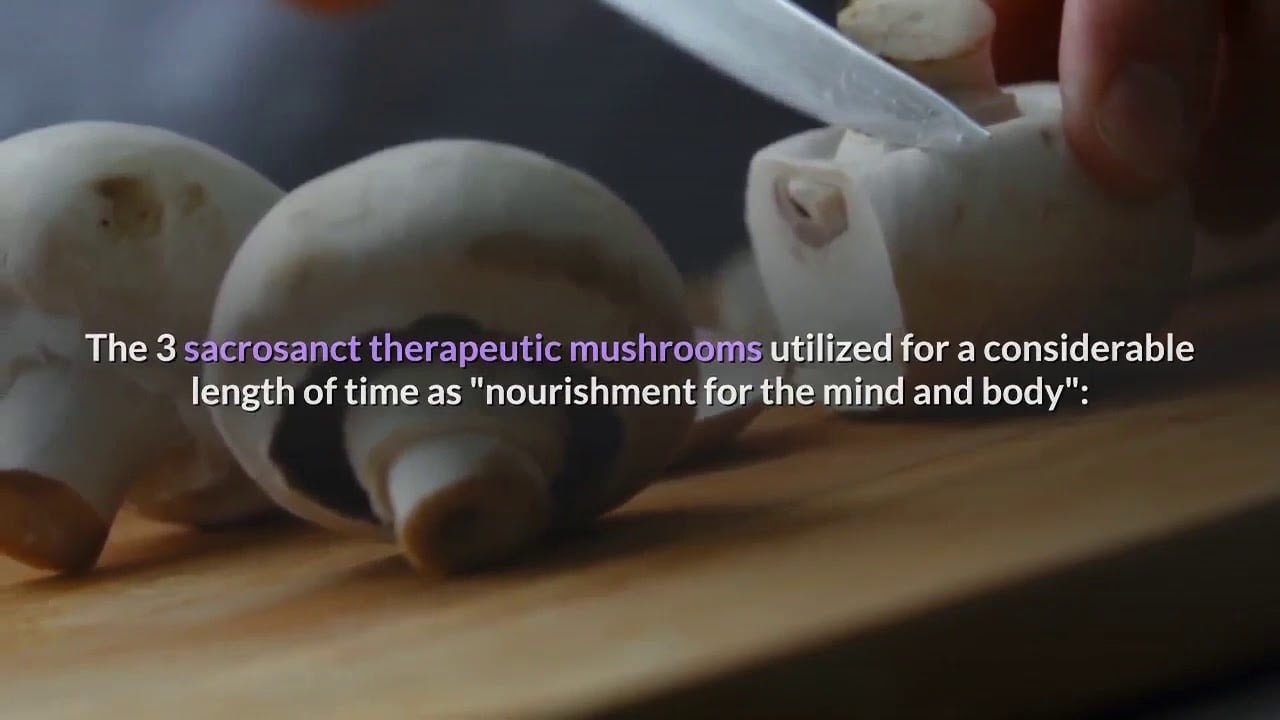 Types of Mushroom and its Benefit | Health