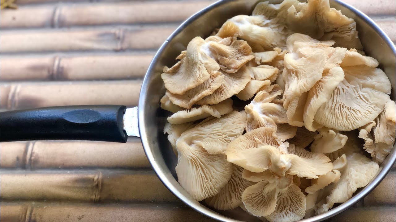 Mushroom ki sabji | chanterelle mushroom