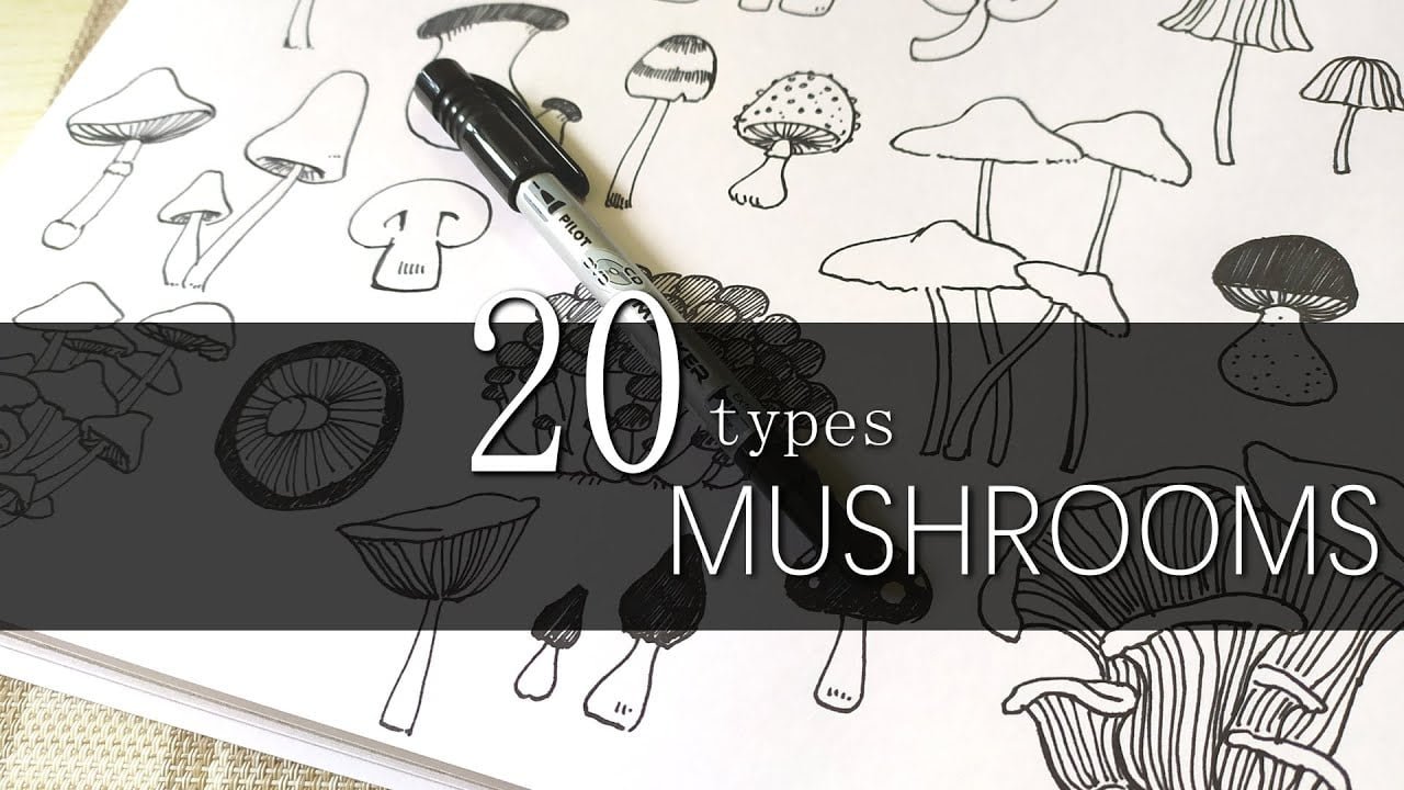 Doodle Arts|How to draw Mushrooms|20 types|Milly’s Doodles
