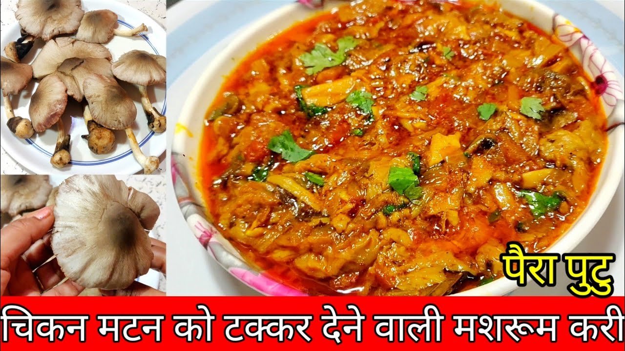 पैरा पुटु की सब्जी ऐसे बनाओगे तो चिकन मटन खाना भूल जाओगे/Paira Putu /Mushroom Curry/ Paddy Mushroom