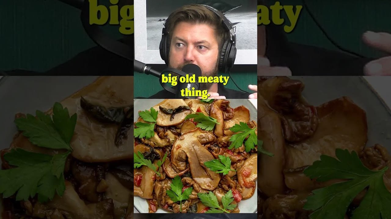 The Different Types of Edible Mushrooms