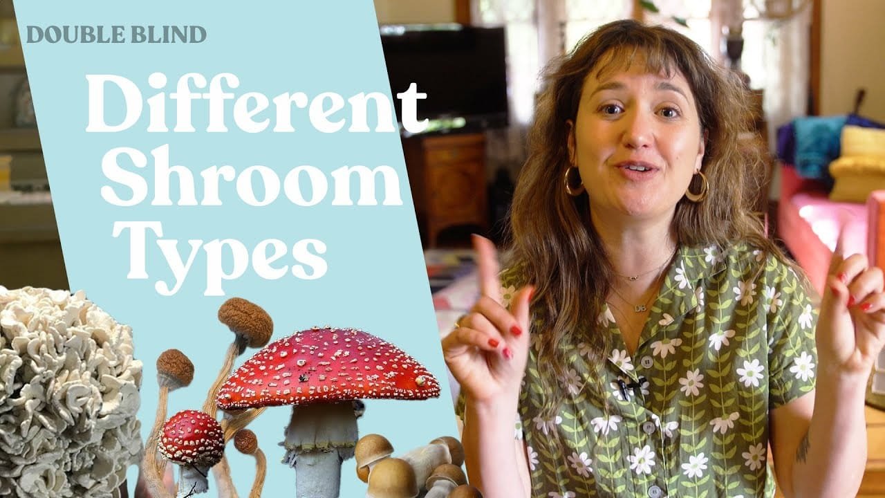 Shroom Types 101 🍄 | DoubleBlind