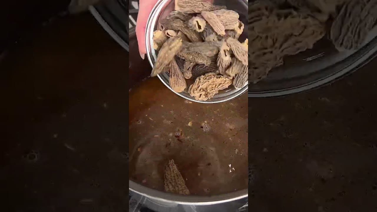 Morel Mushroom Risotto #shorts #food #mushrooms #holidayseason #easyrecipe #risotto #sidedish