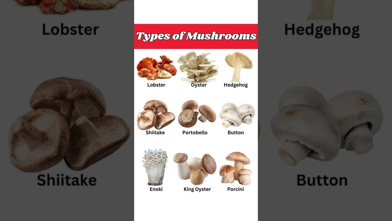 “Discover the Amazing Types of Mushrooms 🌟 | ASAP Knowledge” #asapknowledge #vocabulary #english