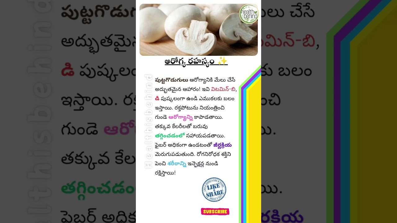 🍄 Tasty Mushroom Recipes | Biryani, Curry, Gravy & Soup | Easy & Quick! 😋