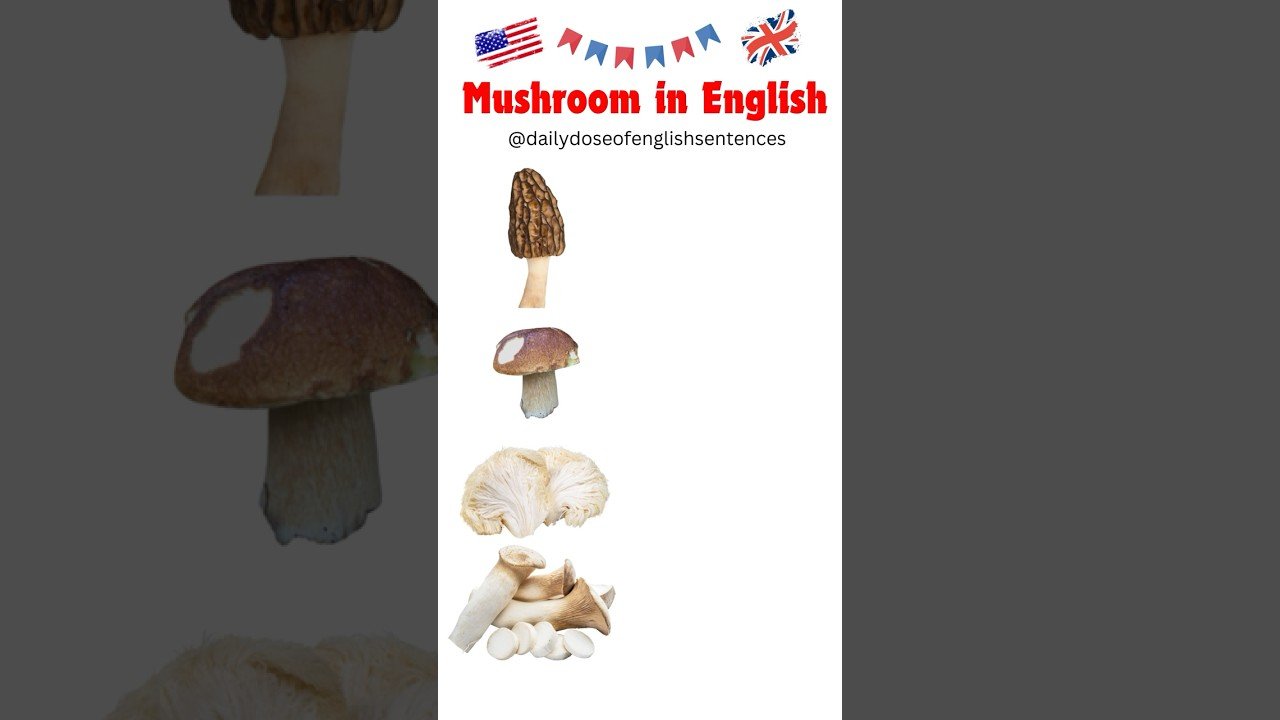 🍄 Exotic Mushrooms in English! | Learn Different Types of Mushrooms & Their Names 🌿✨#mushroom