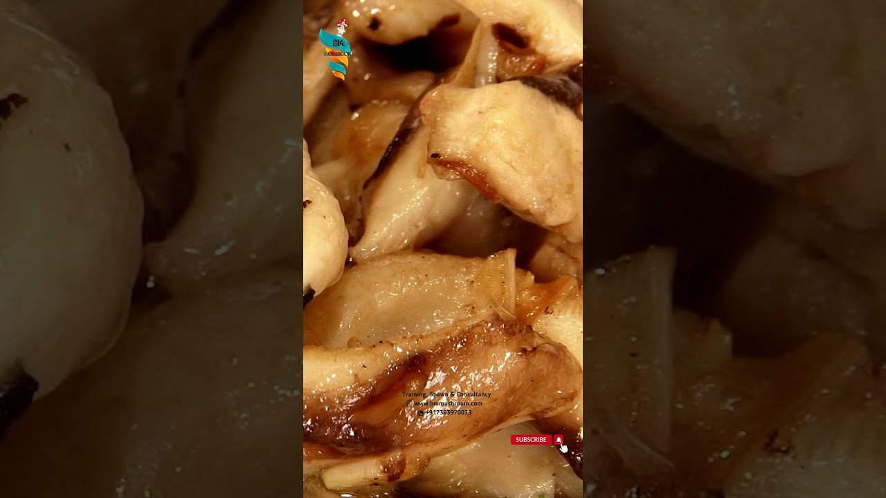 Why you should Consume Mushroom Every Day !