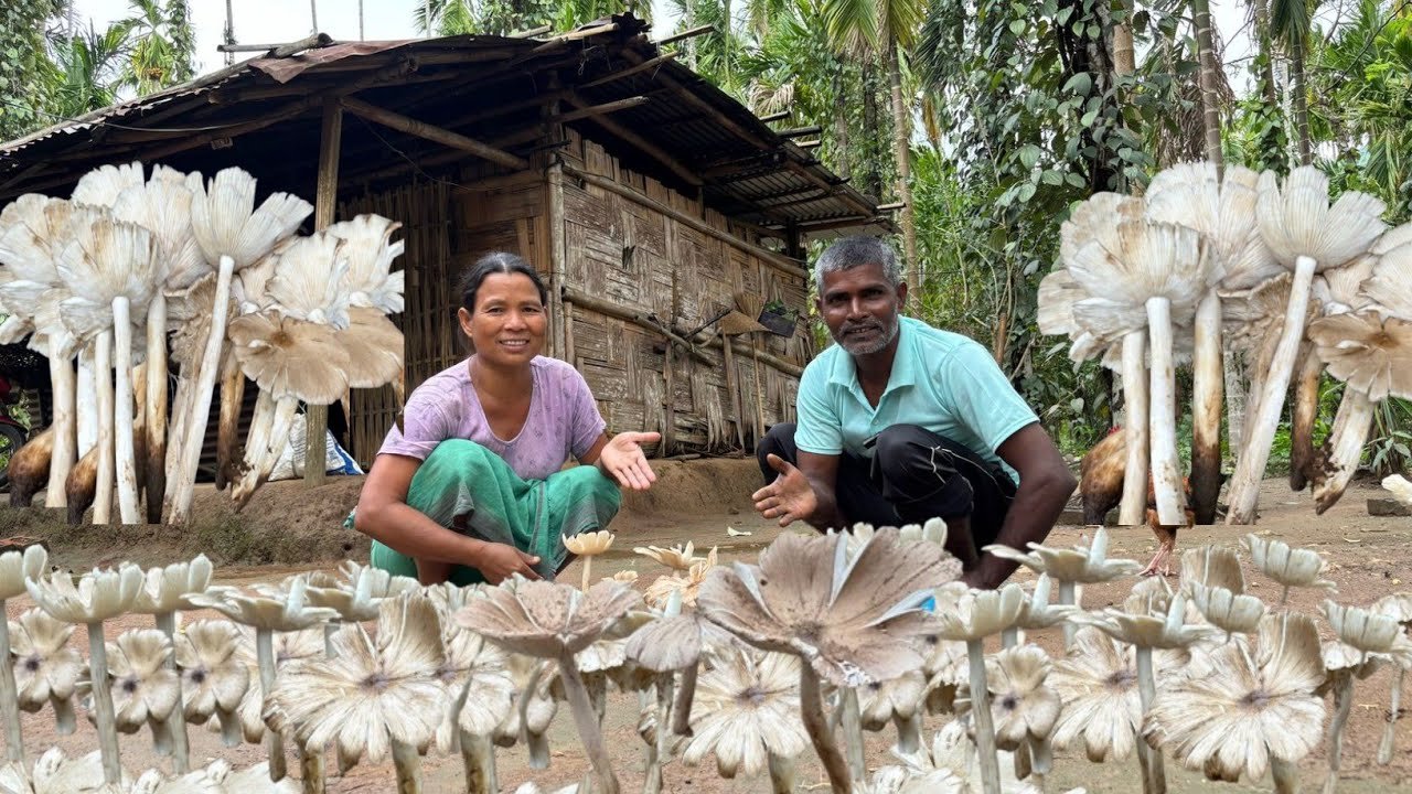 Organic Mushroom Ka Aage Meet Machhali Break Ho Jata Hai | Mushroom Curry Recipe 🍄