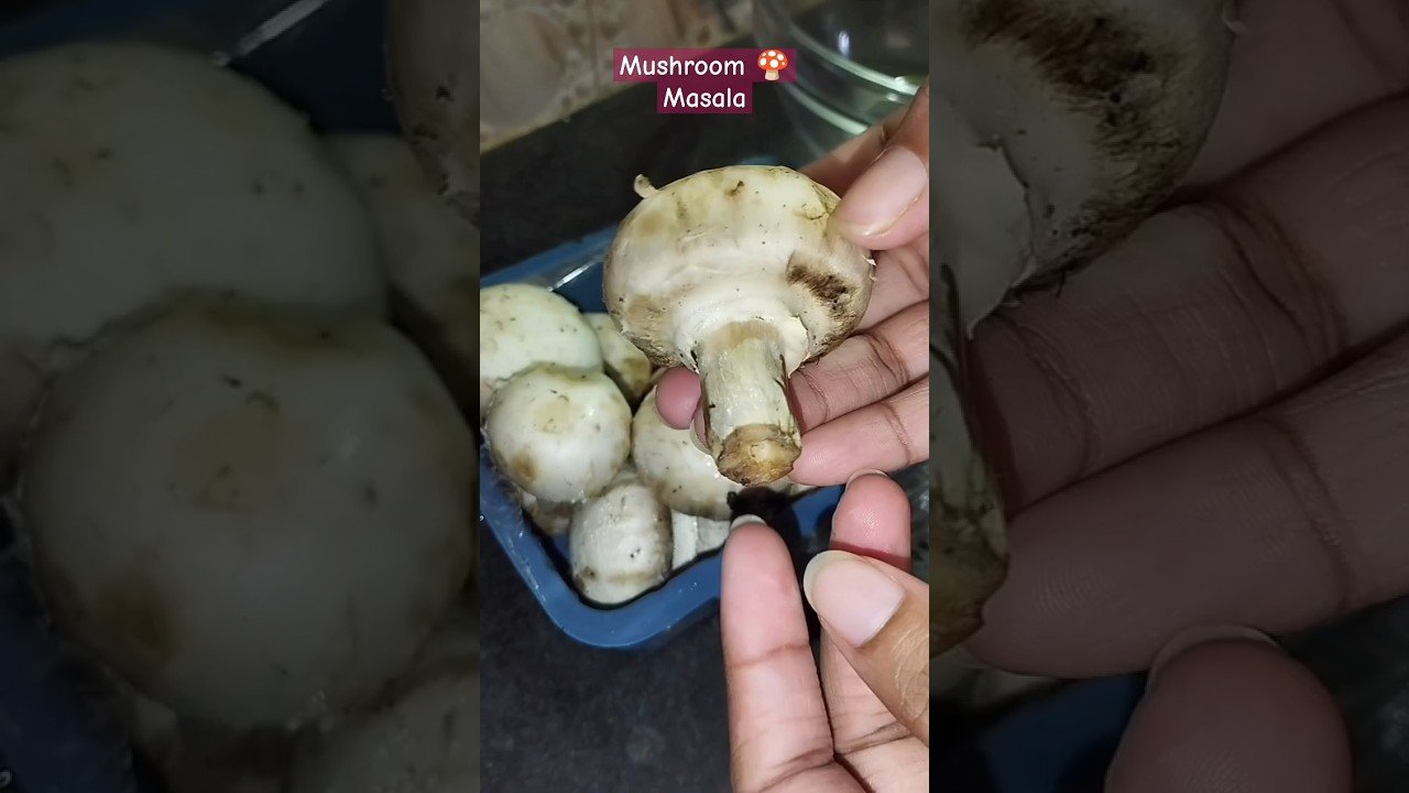 নিরামিষ মাশরুম মাশালা/Veg Mushroom Masala #shorts #youtubeshorts #viral #mushroom