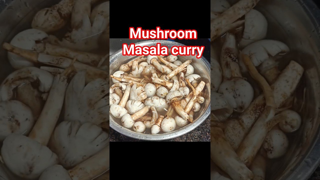 Wild mushrooms curry/Alambychi aamti/Mushroom masala curry/Mushroom recipe/@Malvani Aaswad