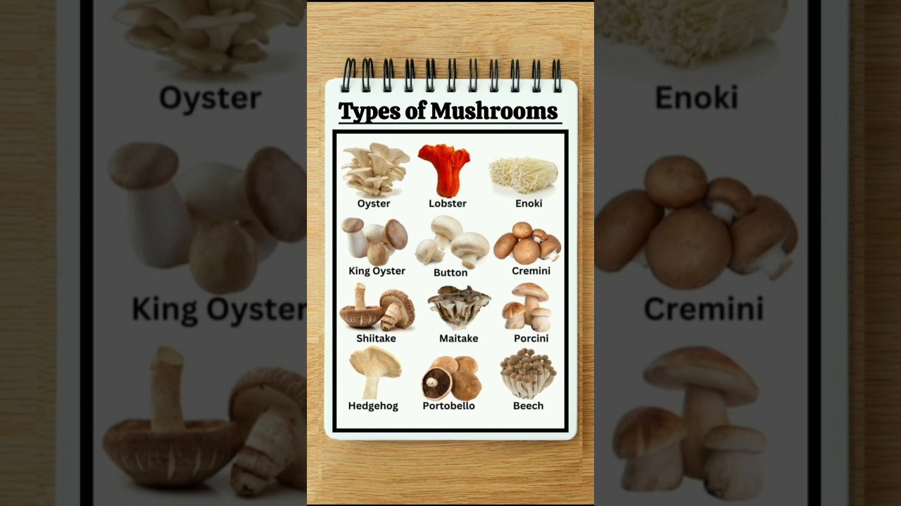 Types of Mushrooms | #mushroom | #shorts
