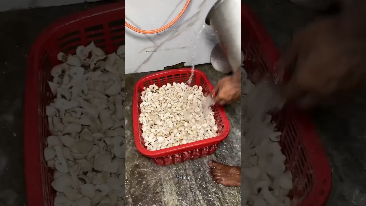 मशरूम जायका 😋 #shorts