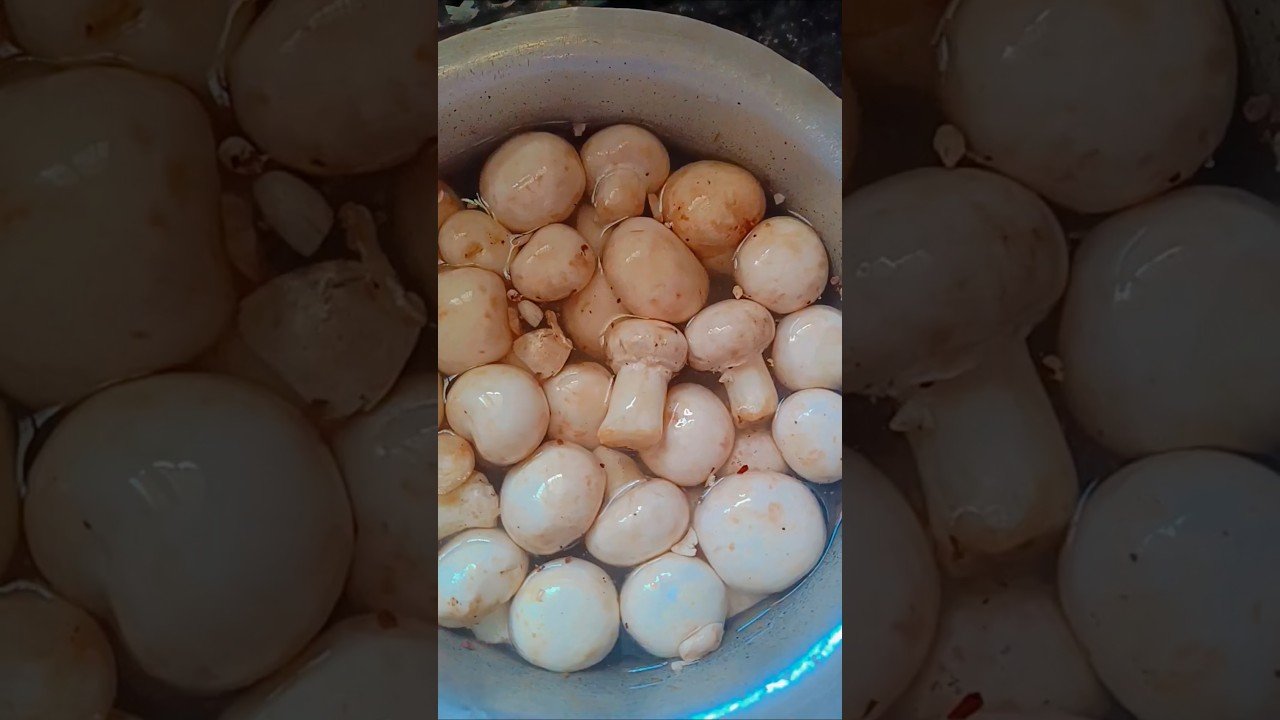 Sunday special mushroom curry  #youtubeshorts