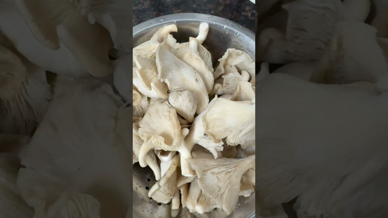 Cooked a delicious organic mushroom curry 🍄 #ytshorts #food #trendingshorts #minivlog #viral