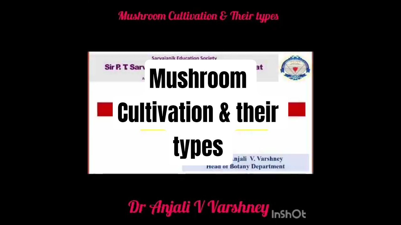 Mushroom Cultivation & their types #trending #botany #viral #ytshorts