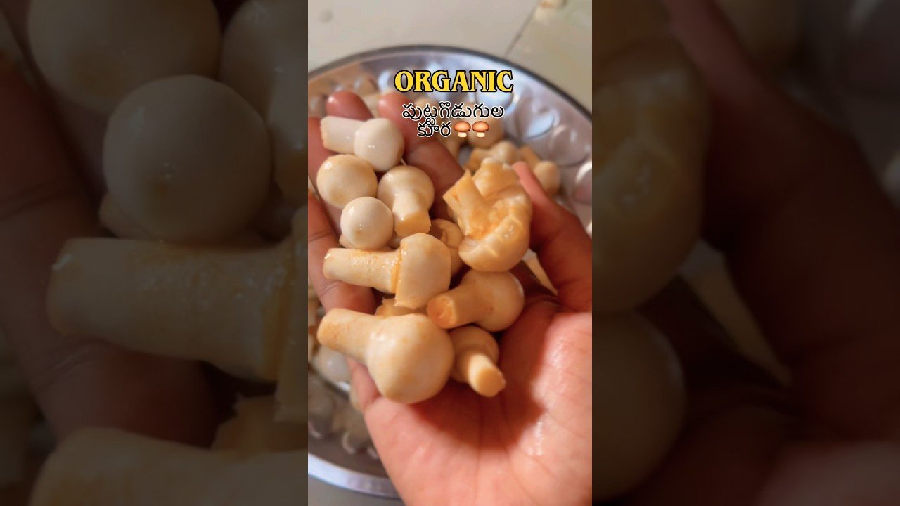 Mushroom curry 🍛 #shorts #cooking #youtubeshorts #ytshorts #subscribe #trending #viral #recipe #yt