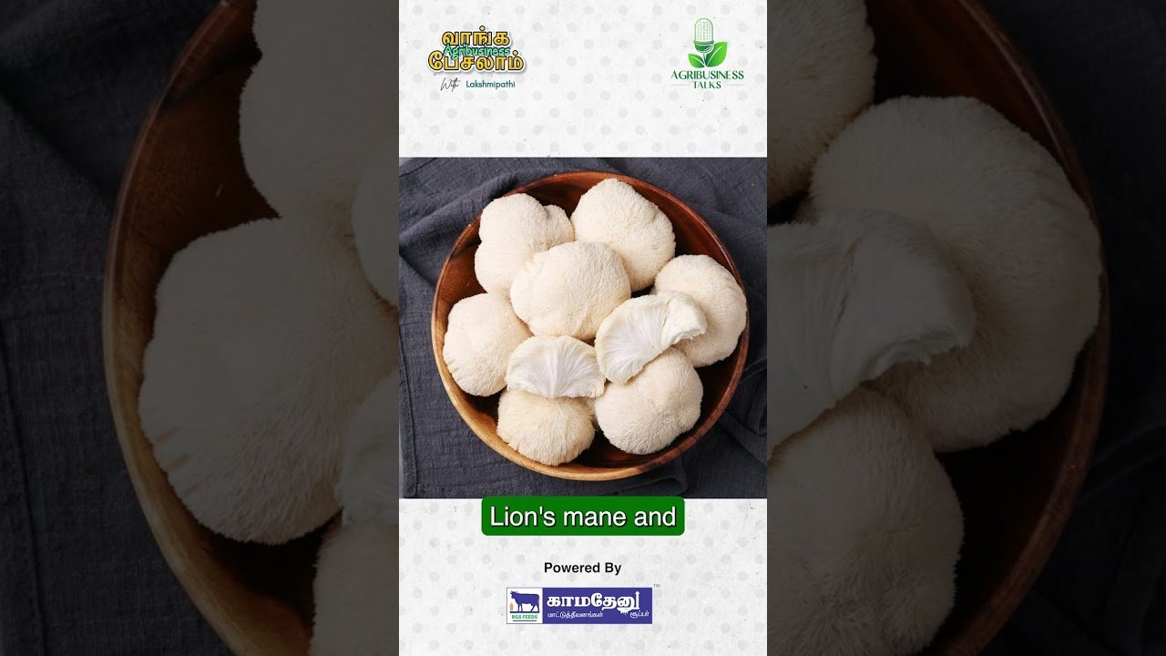 Mushroom Types available & produced #agribusiness #mushroom