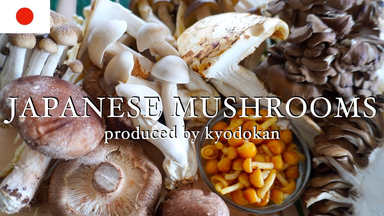 8 different types of mushroom. 10 popular mushroom dishes!